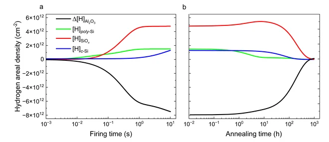 Schematic of the hydrogen transport in TOPCon cell during firing and annealing.
