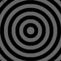 Animated Gray-Scott reaction-diffusion patterns.